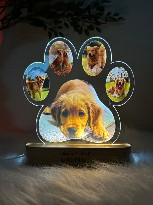 Paw Lamp